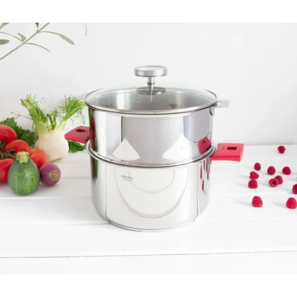 Sortie 🎉 Casserole et Cuit Vapeur Inox Ø 20 cm Anses Mutine Framboise Biome Cristel ✨ beauté 1