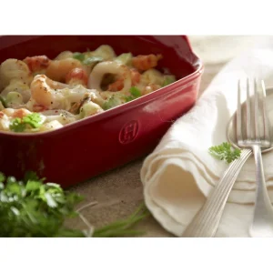 Coupon 🧨 Plat à Four Individuel en Céramique Calanque 22 x 14,5 cm Emile Henry 🎉 meilleur cadeau 22