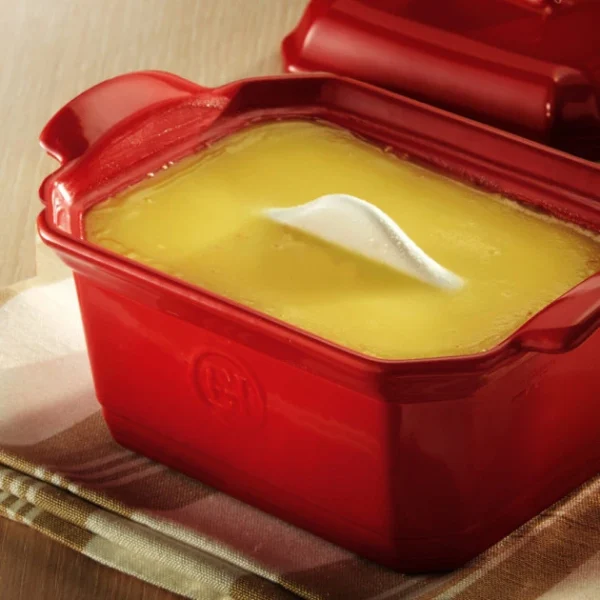Réductions Terrine à Foie Gras Avec Presse 0,6L Emile Henry – Couleur Grand Cru 7