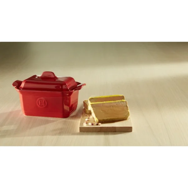 Réductions Terrine à Foie Gras Avec Presse 0,6L Emile Henry – Couleur Grand Cru 8